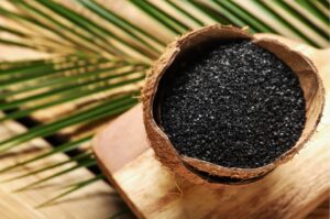 Activated carbon for gold adsorption in a coconut shell, used in CIP gold recovery processes, with tropical background.