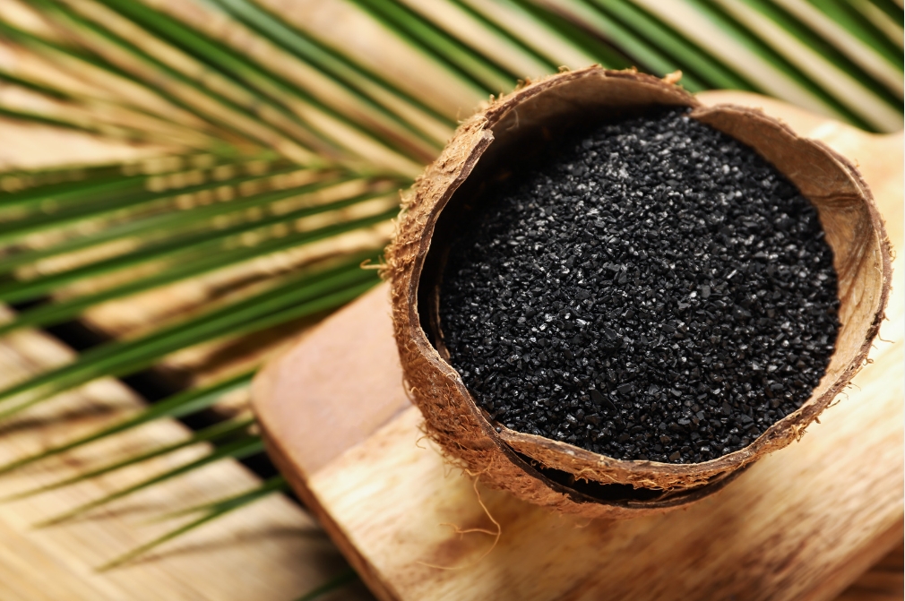Activated carbon for gold adsorption in a coconut shell, used in CIP gold recovery processes, with tropical background.